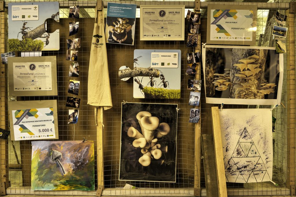 In de lokalen van Permafungi worden de ontvangen prijzen en foto's van paddenstoelen afgebeeld